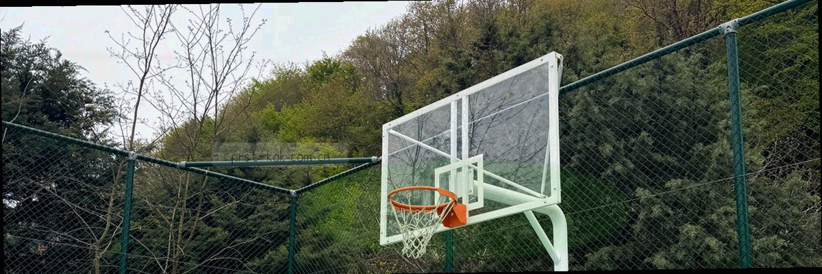 盾牌与锁的组合图形，蓝色调，象征保护。